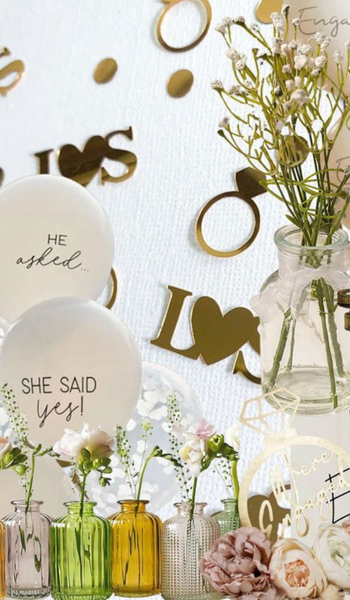 nikky (500 x 250 px)e